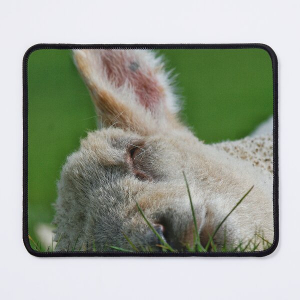 Item preview, Spring lamb designed and sold by Jellycandy.