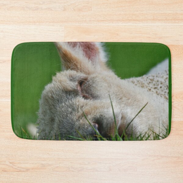 Item preview, Spring lamb designed and sold by Jellycandy.