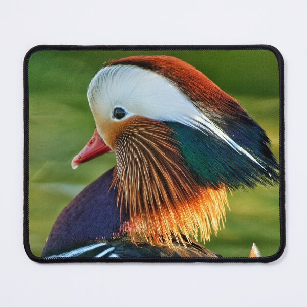 Item preview, Mandarin Duck designed and sold by Jellycandy.
