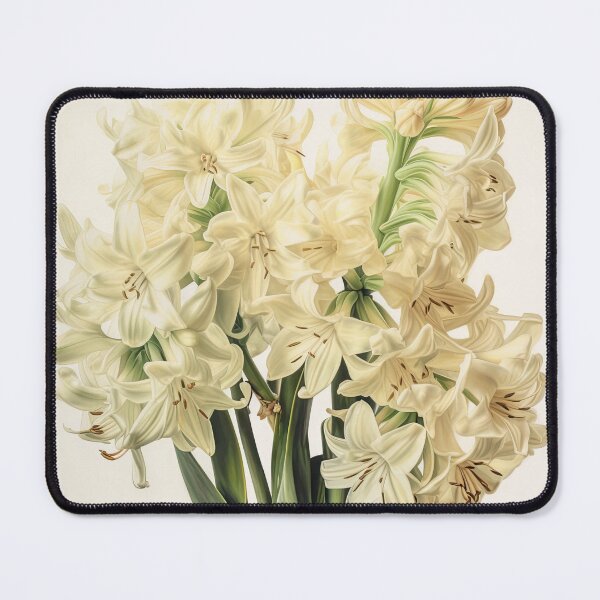 Item preview, Cream Hyacinth designed and sold by Vanover Designs.