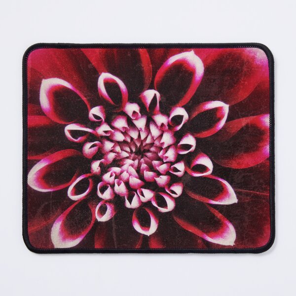 Item preview, Red dahlia designed and sold by Jellycandy.