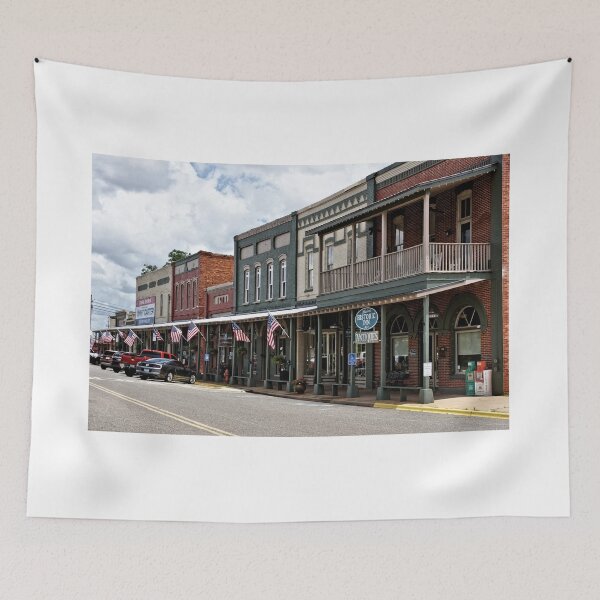 Item preview, Downtown Plains, Georgia 1 designed and sold by jtrommer.