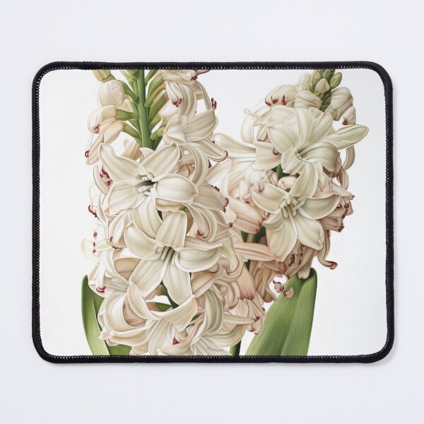 Item preview, Cream Hyacinth designed and sold by Vanover Designs.