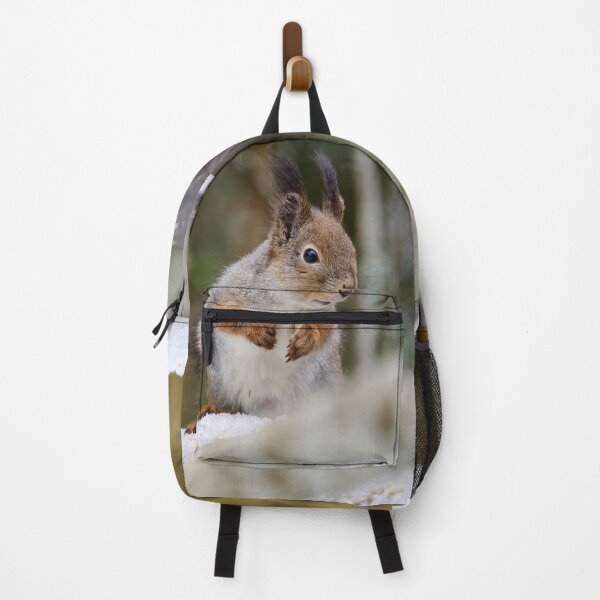 Item preview, Have a smile my friend. Red squirrel designed and sold by Jouko Lehto Photography.