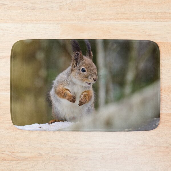 Item preview, Have a smile my friend. Red squirrel designed and sold by Jouko Lehto Photography.