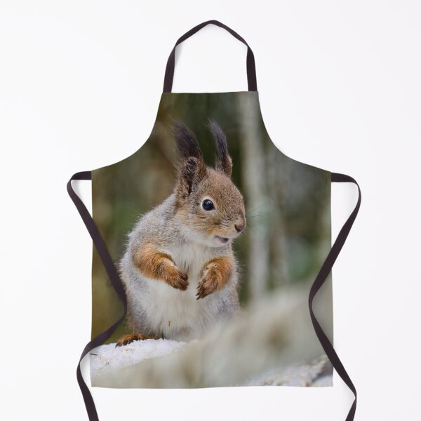 Item preview, Have a smile my friend. Red squirrel designed and sold by Jouko Lehto Photography.