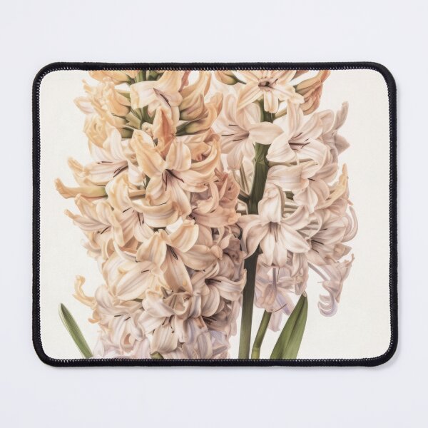 Item preview, Cream Hyacinth  designed and sold by Vanover Designs.