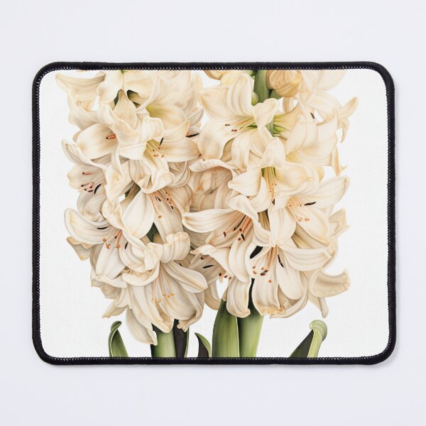 Item preview, Cream Hyacinth designed and sold by Vanover Designs.