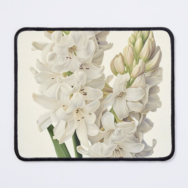 Item preview, Cream Hyacinth  designed and sold by Vanover Designs.