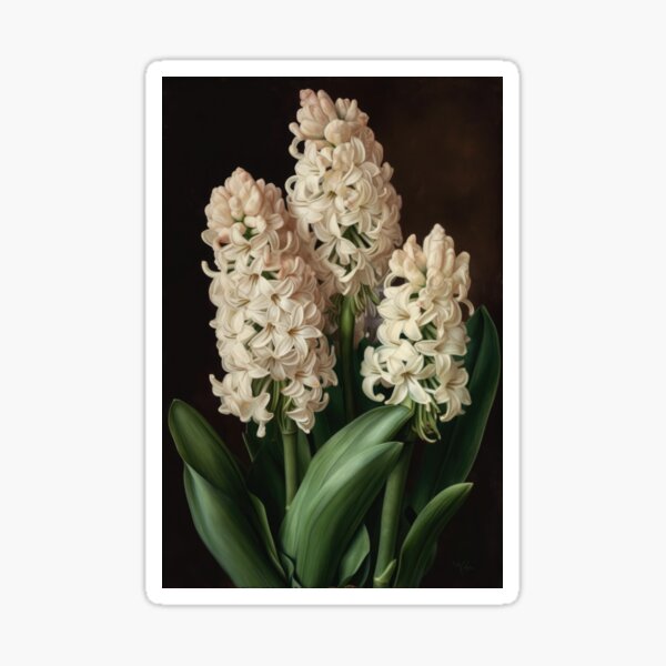 Aperçu de l'œuvre Cream Hyacinth  créée et vendue par Vanover Designs.