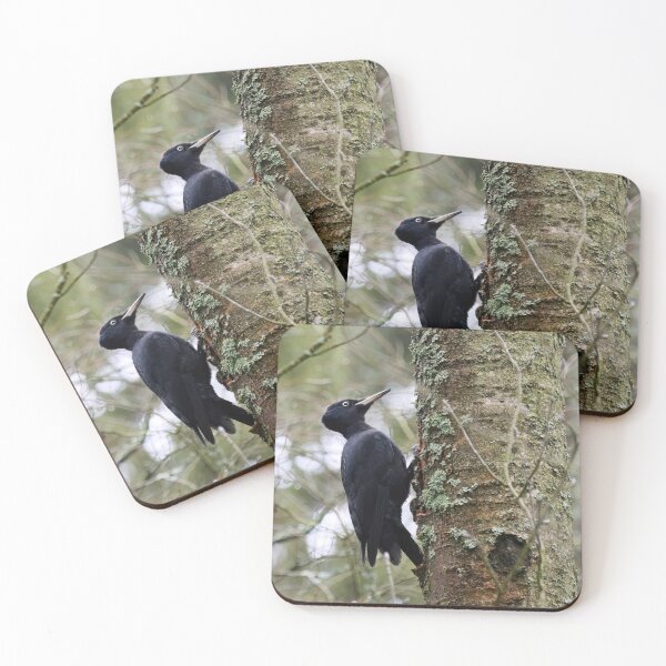 Item preview, Keep on knocking. Black woodpecker designed and sold by Jouko Lehto Photography.