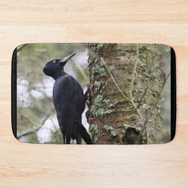 Item preview, Keep on knocking. Black woodpecker designed and sold by Jouko Lehto Photography.