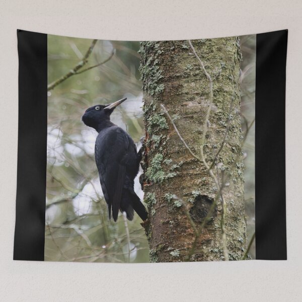 Item preview, Keep on knocking. Black woodpecker designed and sold by Jouko Lehto Photography.