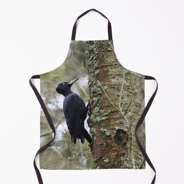 Item preview, Keep on knocking. Black woodpecker designed and sold by Jouko Lehto Photography.
