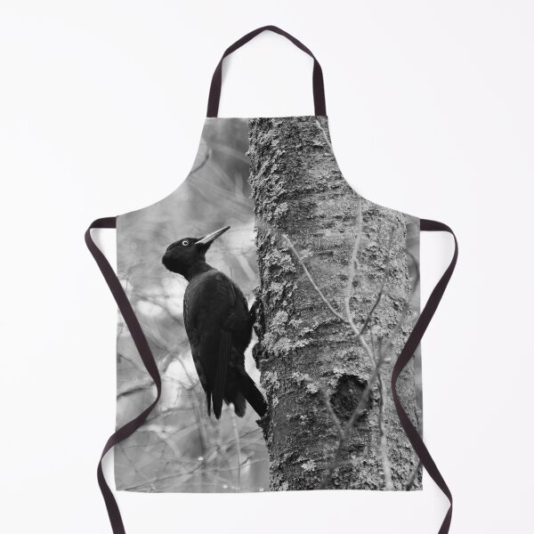 Item preview, Keep on knocking. Black woodpecker on aspen bw designed and sold by Jouko Lehto Photography.