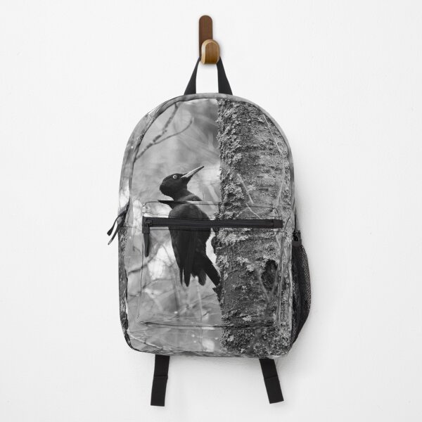 Item preview, Keep on knocking. Black woodpecker on aspen bw designed and sold by Jouko Lehto Photography.