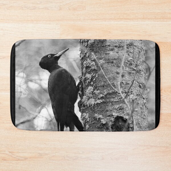 Item preview, Keep on knocking. Black woodpecker on aspen bw designed and sold by Jouko Lehto Photography.