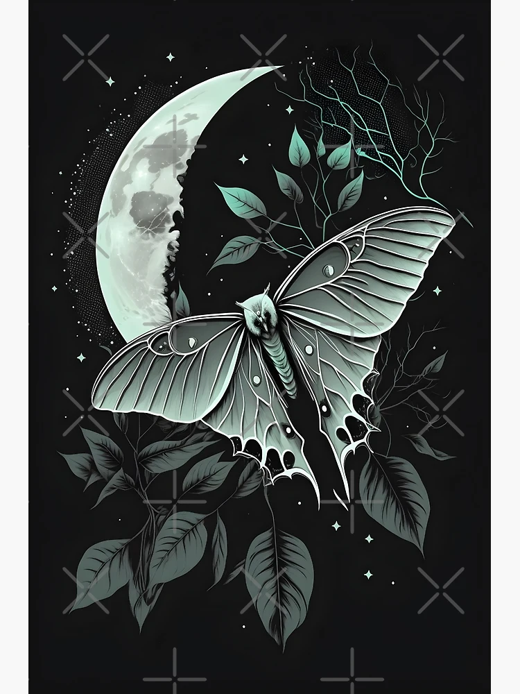 Luna moth | Poster