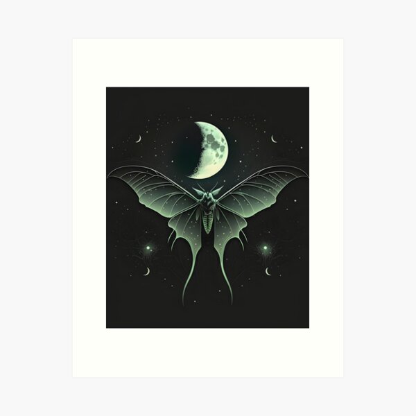 Clear Vinyl Luna Moth Sticker —mini cards Bridgette Jones Nature  Prints-Bridgette Jones Nature Prints