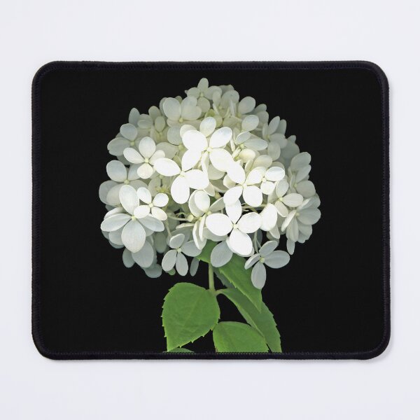 Item preview, White Hydrangea designed and sold by Lisa Davis.