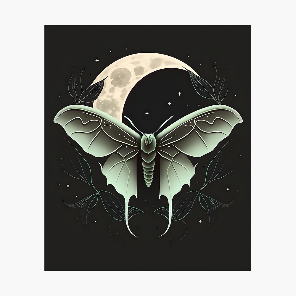 White and black deaths head hawkmoth illustration Butterfly Deathshead  hawkmoth Sacred geometry Tattoo design moth moon tribal Tattoo png   PNGWing