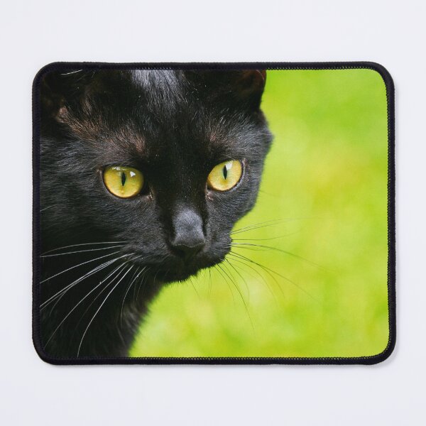 Item preview, Black Cat designed and sold by Jellycandy.