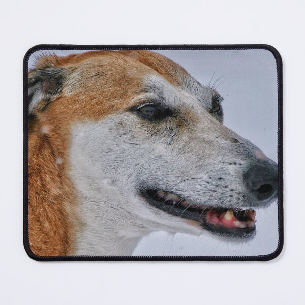 Item preview, Harry - Long Dog designed and sold by Jellycandy.