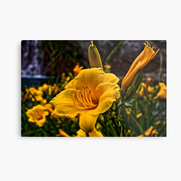 Shores Of Paradise Metal Print