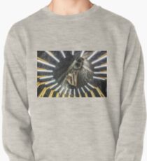 Salt mine. Underground place Pullover