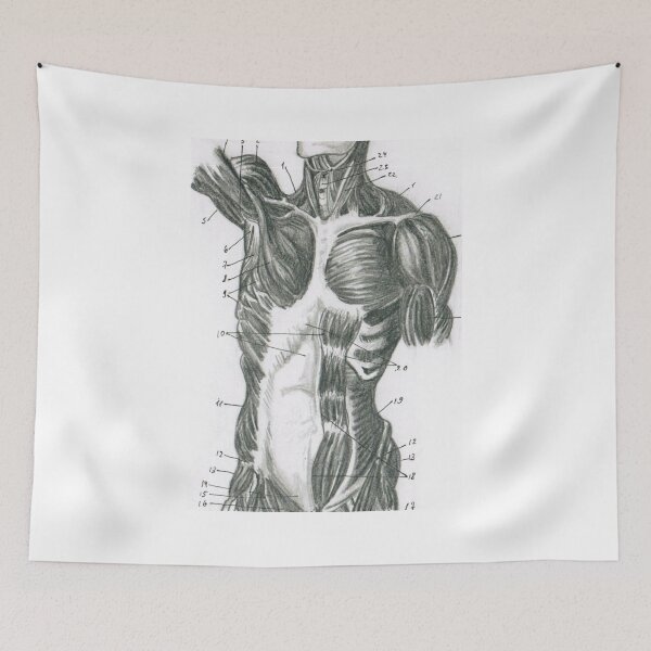Item preview, torso designed and sold by UlyaBowie.
