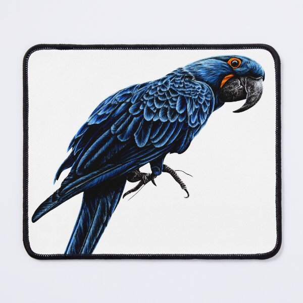 Item preview, Hyacinth macaw designed and sold by LorenDowding.