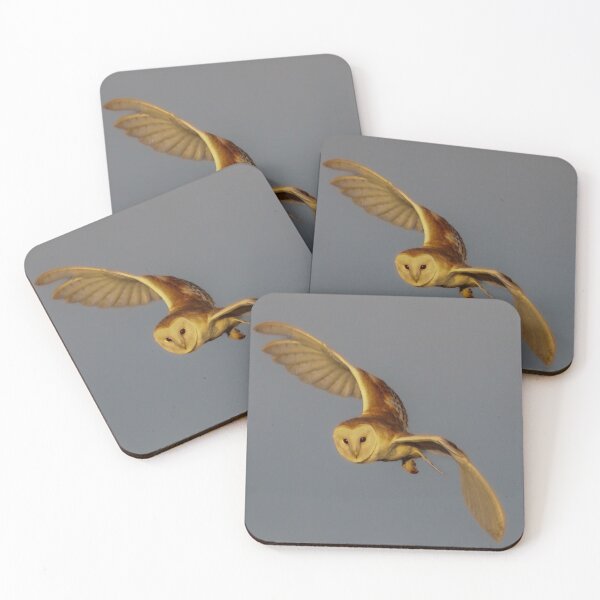 Item preview, Golden Hour Barn Owl designed and sold by Julie Wilkinson.