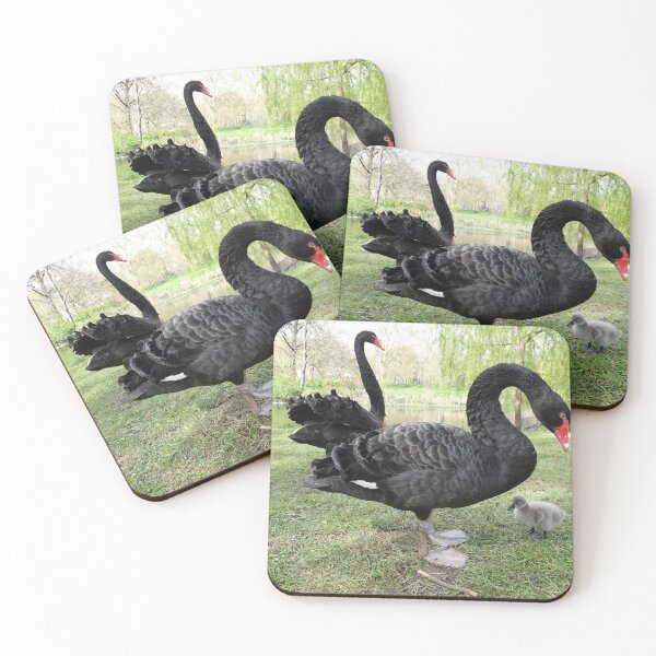 Item preview, Pair of Black Swans with their young cygnet designed and sold by TwistedClassics.