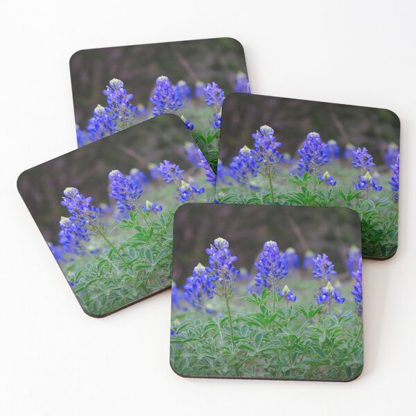 Item preview, Bluebonnets are in Bloom designed and sold by Cathy Jones.