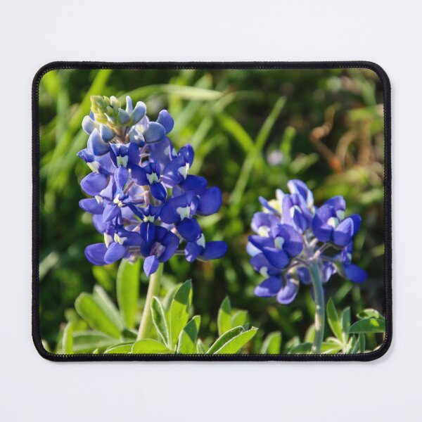 Item preview, Texas bluebonnets designed and sold by Nina-Nelson.