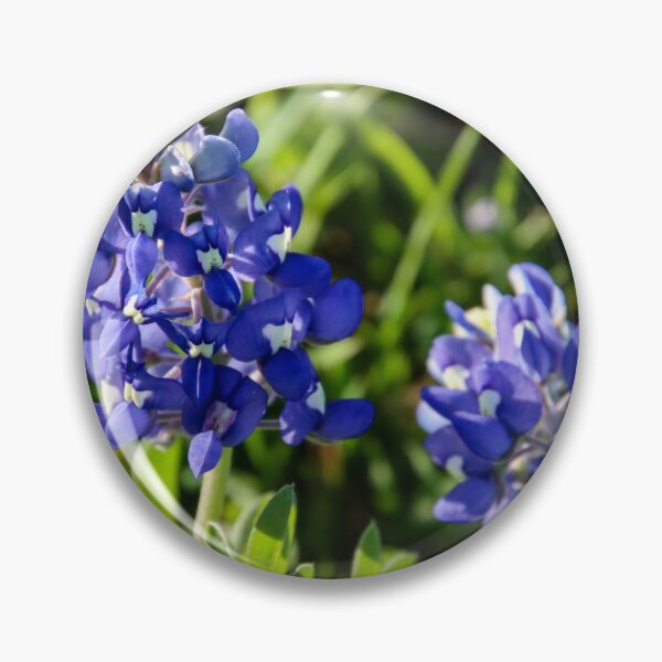 Item preview, Texas bluebonnets designed and sold by Nina-Nelson.