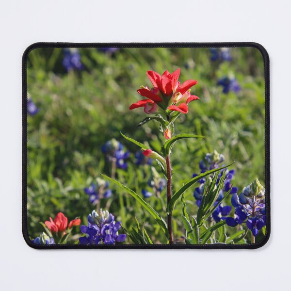 Item preview, Bluebonnets and Indian Paintbrushes designed and sold by Nina-Nelson.