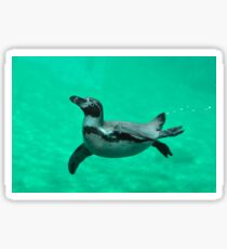 Penguin Sticker