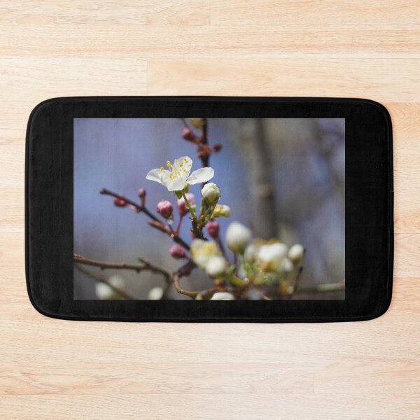Item preview, Cherry blossoms and plum blossoms in spring with a black background designed and sold by Binas-gallery.