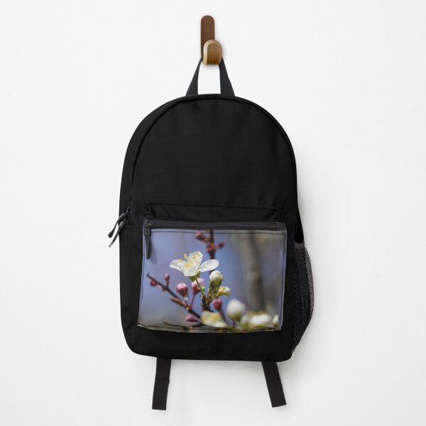 Item preview, Cherry blossoms and plum blossoms in spring with a black background designed and sold by Binas-gallery.