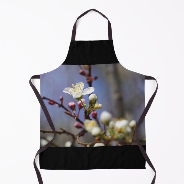 Item preview, Cherry blossoms and plum blossoms in spring with a black background designed and sold by Binas-gallery.