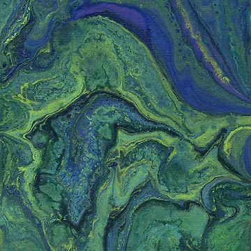 Artwork thumbnail, Algae by Goop Design