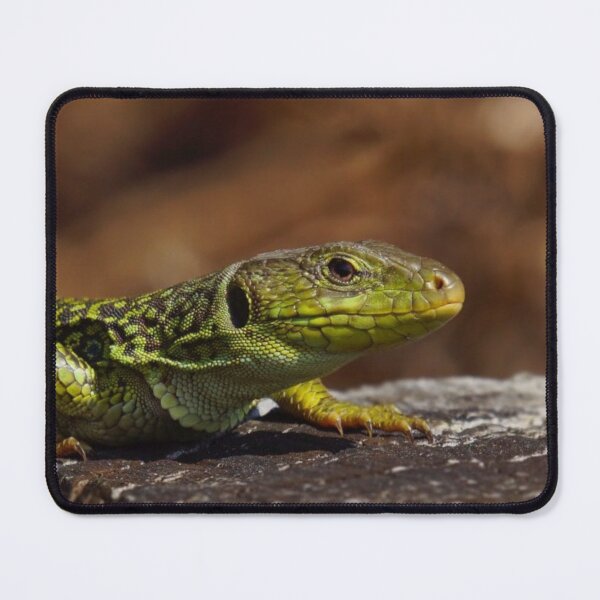 Item preview, Lizard-1 designed and sold by SPT77.