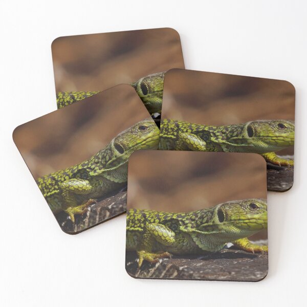 Item preview, Lizard-1 designed and sold by SPT77.