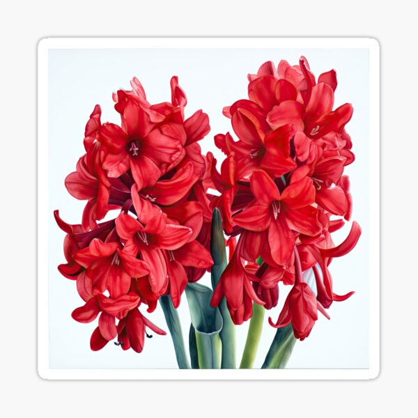 Aperçu de l'œuvre Red Hyacinth  créée et vendue par Vanover Designs.