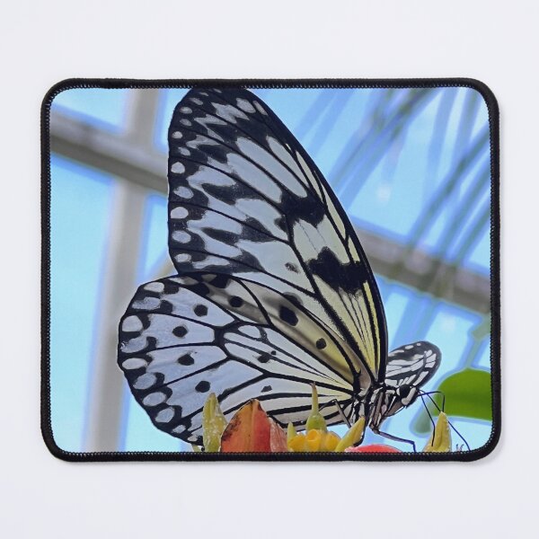 Item preview, Tree Nymph Butterfly Resting on a Pink Flower designed and sold by lmers12.
