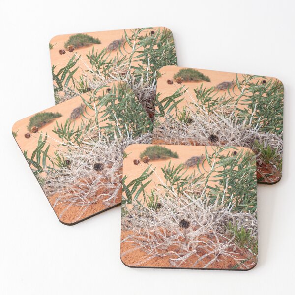 Item preview, Dead Desert Flower designed and sold by TinyDinoDesigns.