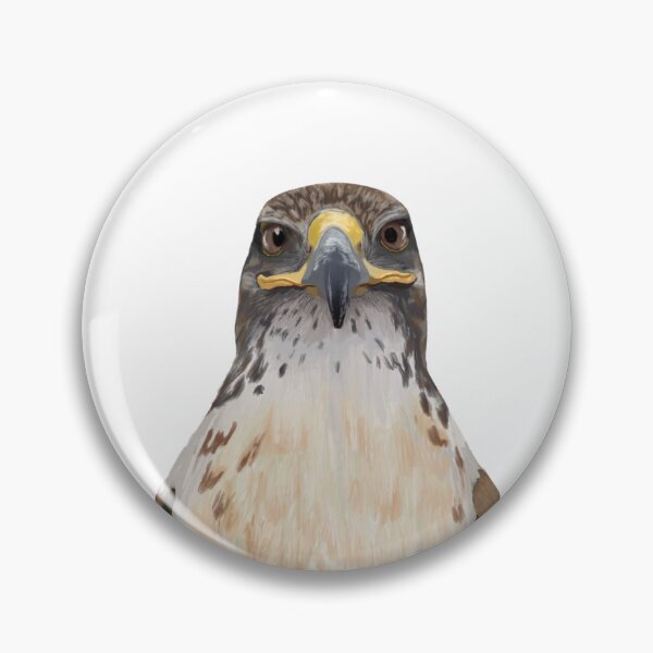 Item preview, Ferruginous Hawk Peekaboo designed and sold by Kindahawkward.