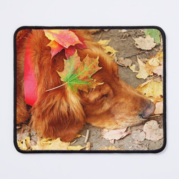 Item preview, Autumn Snooze designed and sold by Deb Oppermann.