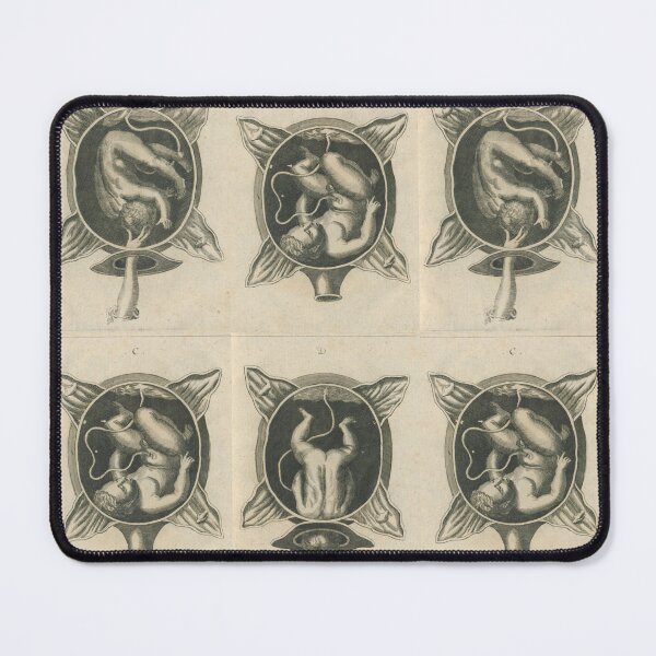 Item preview, Justine Siegemund - Court Midwife Illustrations - Pregnancy, Birth, Motherhood designed and sold by Vintage-TM.